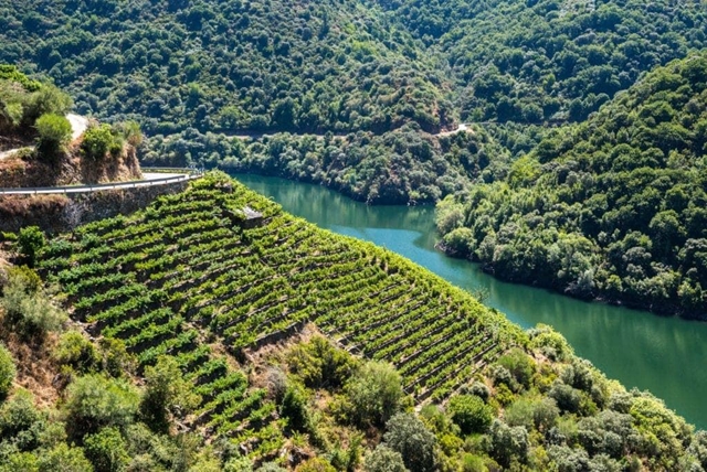 RIBEIRA SACRA